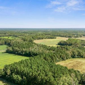 DJI_20251004105025_0007_D