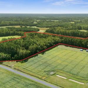 version1(entireoutline)