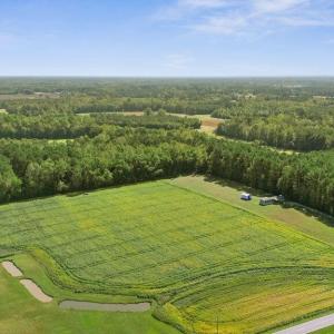 DJI_20251004111831_0044_D-2