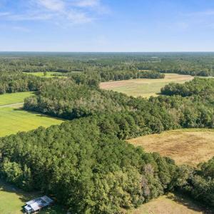 DJI_20251004110052_0026_D