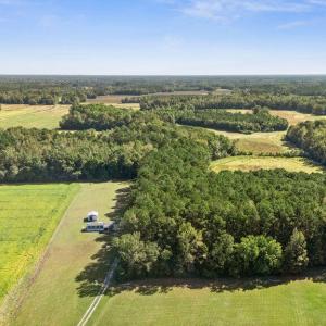 DJI_20251004111728_0038_D