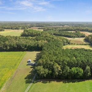 DJI_20251004111737_0041_D