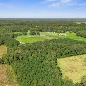 DJI_20251004105601_0019_D