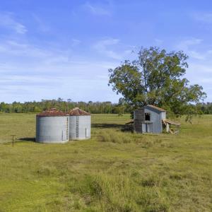whiteoak-5