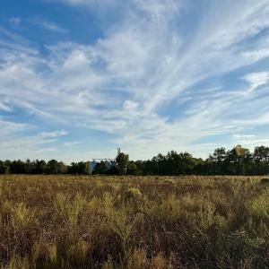 Southern End Of Property