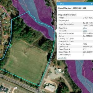 FEMA Flood Map Satellite View