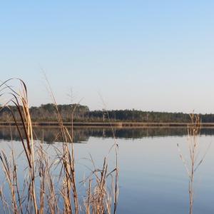 20210210143646846513000000-o