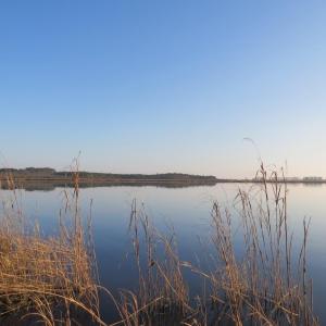 20210210143712881538000000-o