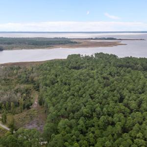 12-web-or-mls-DJI_20251013162238_0042_D