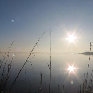 20210210143427676156000000-o