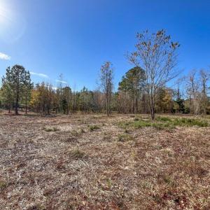 20241216183527567061000000-o