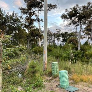 approx. property line
