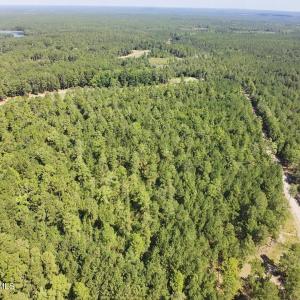 Photo #3 of Trt 8 Peach Orchard, Wagram, NC 6.5 acres