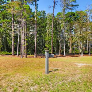 479 Freedom Park Rd