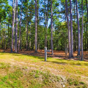 508 Freedom Park Rd