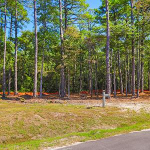 420 Summer Duck Drive, Lot 349