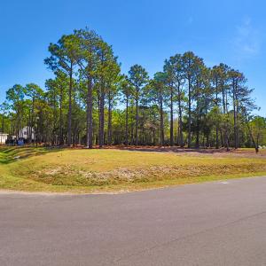 402 Summer Duck Drive