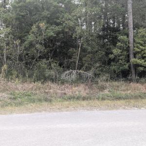 PXL_20251015_162459935.MP