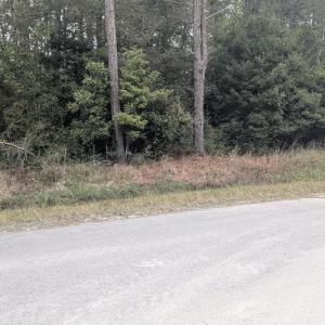 PXL_20251015_162502956