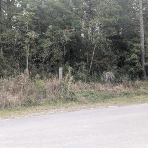 PXL_20251015_162448968