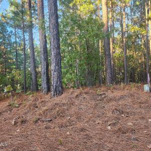 IMG_20251020_190956 (1)