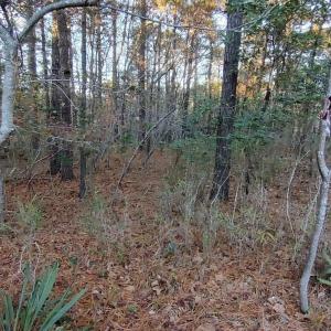 20241118184221507624000000-o