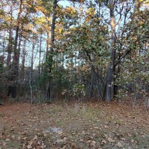 20241118184218334089000000-o