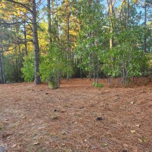 IMG_20251020_190956 (2)