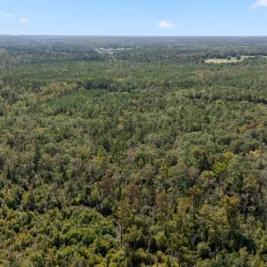 12_dji_20251009093742_0016_d