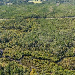 7_dji_20251009093152_0007_d