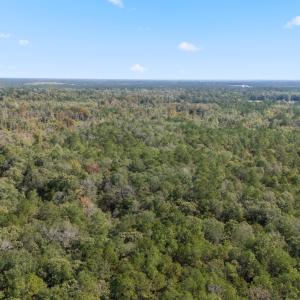 10_dji_20251009093625_0014_d