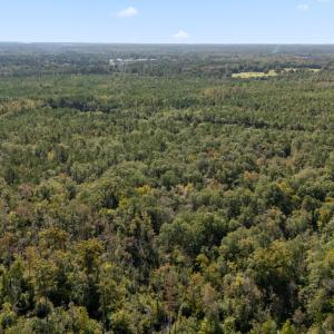 11_dji_20251009093723_0015_d