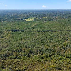 5_dji_20251009092919_0005_d