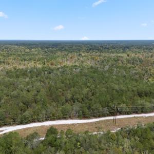 17_dji_20251009105953_0052_d