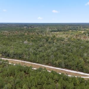 16_dji_20251009105949_0051_d