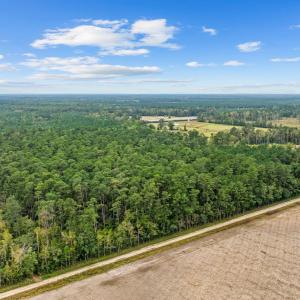 10-web-or-mls-Full10