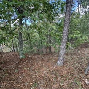 Photo #3 of 106 Parker, West End, NC 0.8 acres