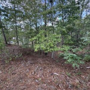 Photo #6 of 106 Parker, West End, NC 0.8 acres