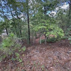 Photo #7 of 106 Parker, West End, NC 0.8 acres