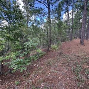 Photo #4 of 106 Parker, West End, NC 0.8 acres