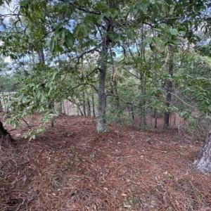 Photo #8 of 106 Parker, West End, NC 0.8 acres