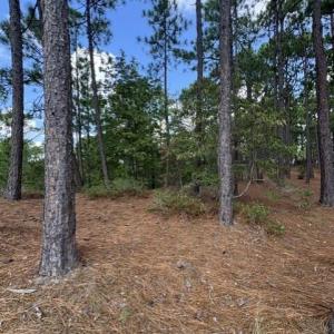 Photo #11 of 106 Parker, West End, NC 0.8 acres