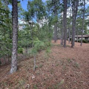 Photo #21 of 106 Parker, West End, NC 0.8 acres