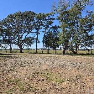 from of the Front of the Property