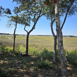 View of the Marsh Left