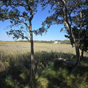 Right side of the Marsh North