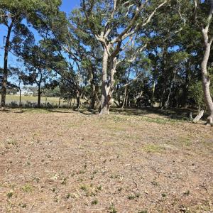 Front to left to Marsh