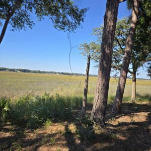 View of the Marsh Right
