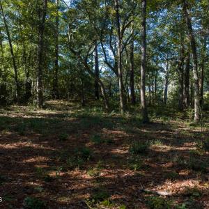 6954 Runningbrook Terr Lot MLS-16