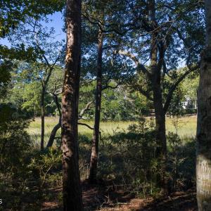 6954 Runningbrook Terr Lot MLS-22